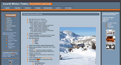 Desktop Screenshot of lizardimt.com